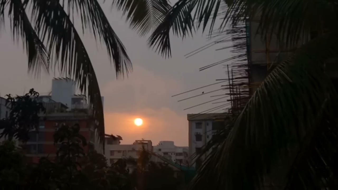 Dil Ko karaar aaya  music status || morning sunset view || aesthetic video || aesthetic status 