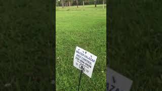 Top Choice fire ant yard treatment