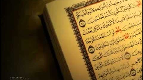 سورة الإخلاص [الشيخ عبدالعزيز الأحمد]