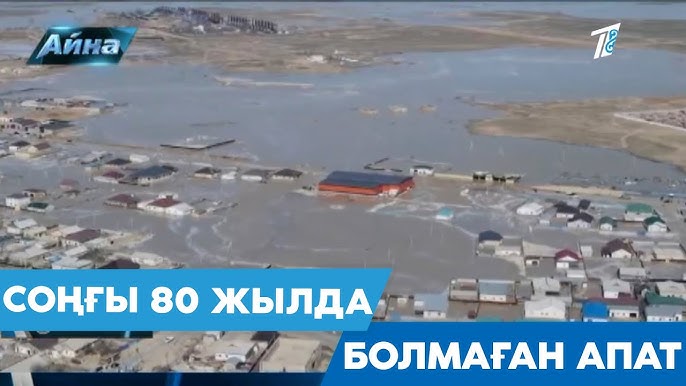 Үлкен клитормен порно блять Пискадағы қара әтештің жақыннан түсірілген фотосы