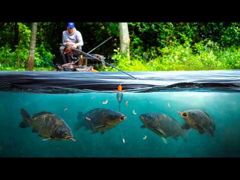The Most Dominant Shallow Rig? (Underwater Test Results)