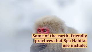 Where is Best Dallas Spa