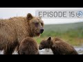 Up close with katmai national park bears  adventures in homer  seward alaska  go north ep 15