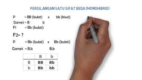 Tips Genetika (Monohibrid)
