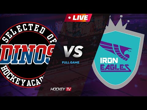 제15회 성남시장배 아이스하키대회 G11 다이노스 vs 성남 아이언이글스 [LIVE] 2024.11.03