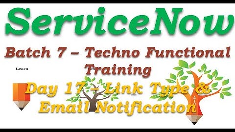 Batch 7 || Day 17 || link Type & Email Configuration || Techno Functional Training || English