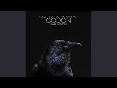 Codon (Dipped In Ecstasy) (4hero Radio Remix)