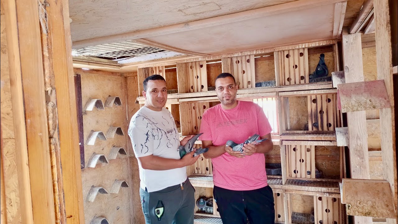 البطل خالد الشرقاوي خد السابع 🏆 على العالم فرجه على الحمام الزاجل01095938622#العناني