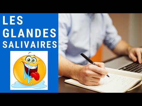 Vidéo: Où est le noyau salivaire ?