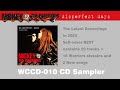 ★&rdquo;disperfect days" CD Sampler ★ニッキー&amp;ザ・ウォリアーズ
