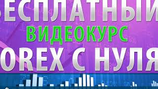 Форекс Видео Смотреть | Видеокурс по форекс скачать бесплатно Форекс Видео Смотреть | Видеокурс по форекс скачать бесплатно