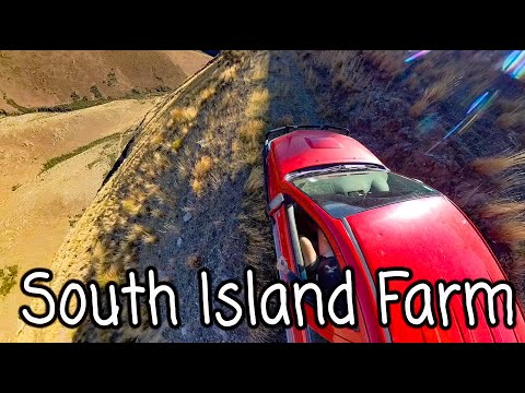 Trip to New Zealand part 2 - South Island farm