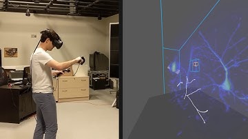 A Virtual Reality Visualization Tool for Neuron Tracing: Real + Virtual View of Tracing
