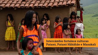 🏹 Intercâmbio fortalece culturas Maxakali, Pataxó e Pataxó Hãhãhãe