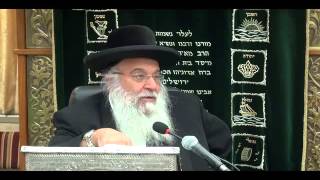 תזריע מצורע  - בין פסח לעצרת תשע''ה הרב בניהו שמואלי בשיעורו השבועי בזוהר הקדוש