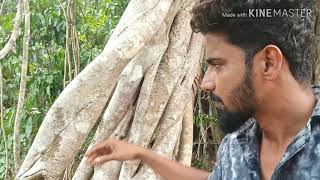 Na sayuva Munna|kannada song|Nazeer Najji belthangady|new song