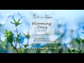 トマトケチャップの食べ比べランキング ｜Taste in bloom｜Blooming Days -日々是好日-｜倉嶋桃子｜Learning Japanese