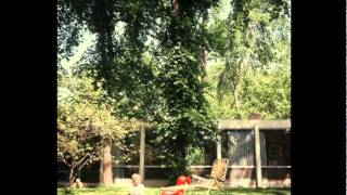 Mies Van Der Rohe  - McCormick House - Elmhurst Art Museum
