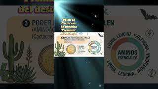 El polen de los nopales y garambullos es un superalimento #abejas #mielpura #guanajuato #apicultor
