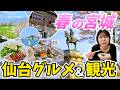 【仙台旅行】地元グルメを楽しむ、春の東北｜仙台朝市｜松島クルーズ・秋保温泉