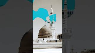 DAYAARE MADINA | दयारे मदीना 🤲 #allah #islamicshort #muslimummah #islamiccontent #viral #subhanallah
