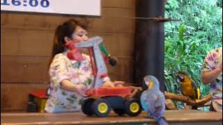 北埔綠世界生態農場1/2 (金剛鸚鵡表演)