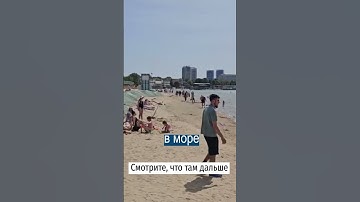 Thumbnail of Всем Плевать на Мазут в Анапе