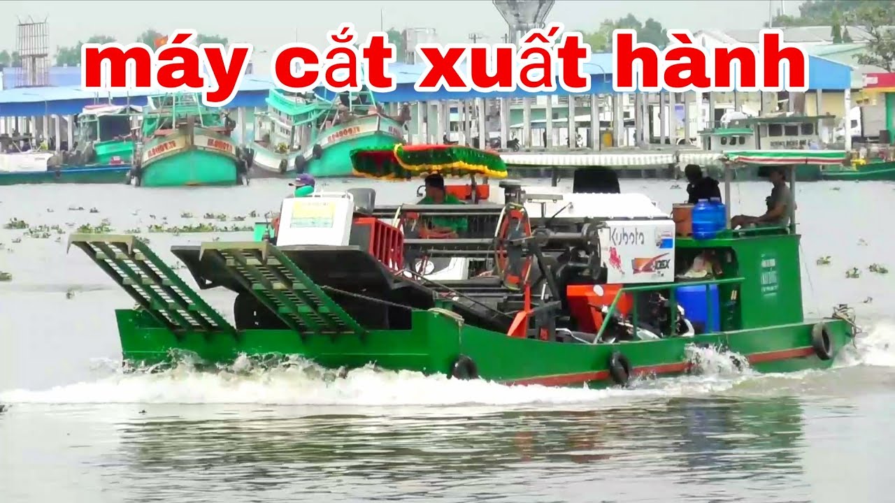 XEM MÁY CẮT LÚA KUBOTA XUẤT HÀNH CHUYỂN PHÀ TẠI SÔNG TẮC CẬU