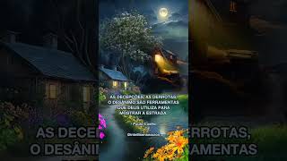 Frases De Paulo Coelho - Ão Ção Ção