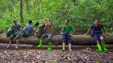 Săn Mật Ong Rừng Già Phần 3 - Bội Thu Trở Về