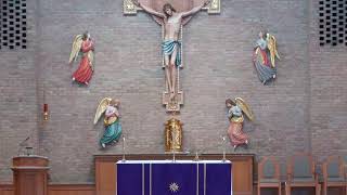 8:00am Mass from Holy Cross Catholic Church (March 17, 2026)