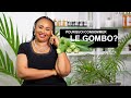 Le Gombo Le Gombo