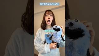 大きなお口のパペットスンスン【横山天音】#shorts
