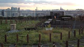 IMG 7182