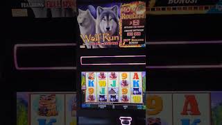 IGT Wolf Run Hot Roulette Video Slot Machine Game Play. Web Site:  https://toplineslotmachines.com