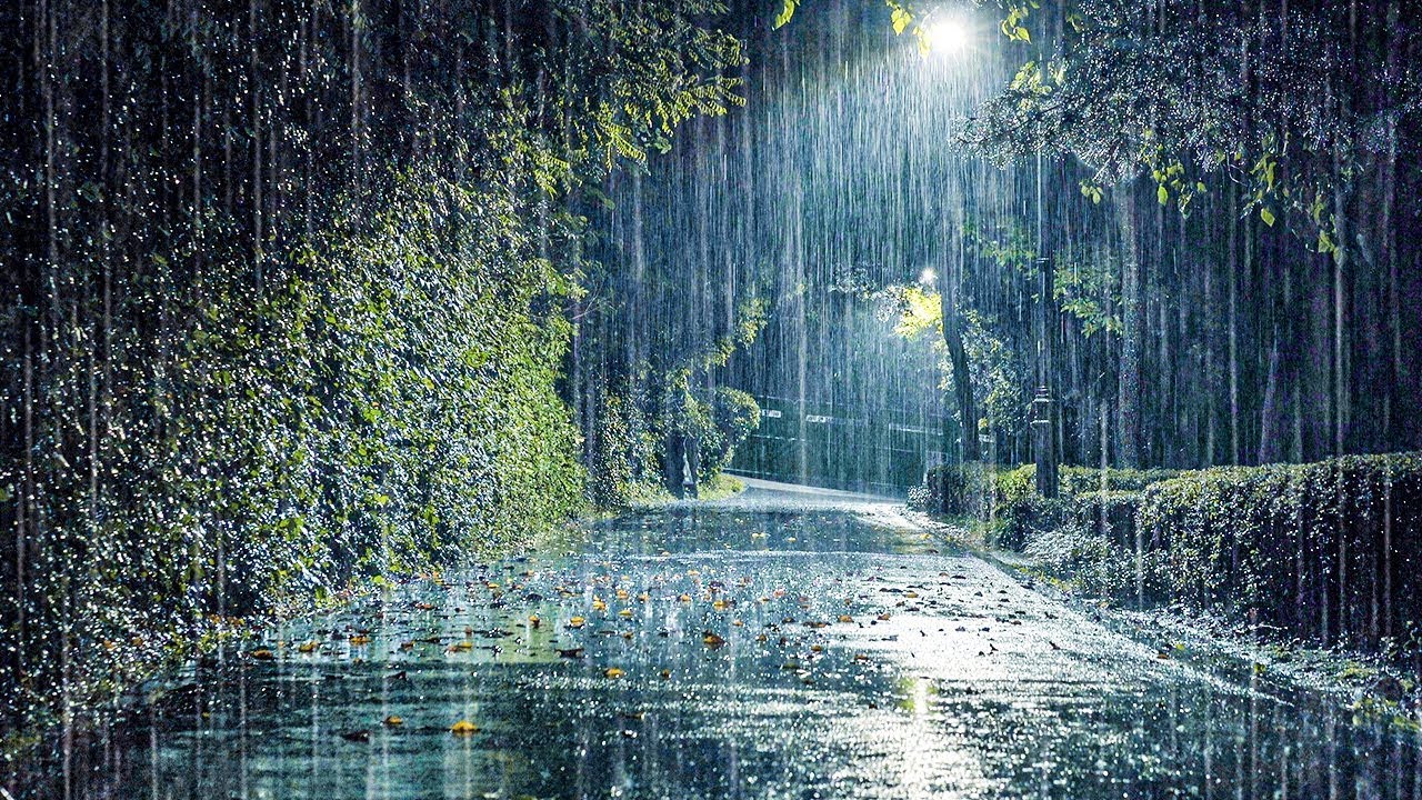 Rain Gradually Stop Stop Tossing: Rain Guides to Deep Sleep | Heavy Rain, Overcome Insomnia ...