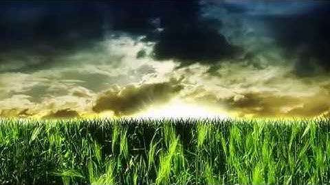 تلاوة خاشعة تجلى فيها الإبداع محمد اللحيدان