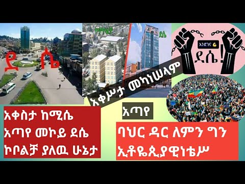 ቪዲዮ: የባህር አረም ለምን ይጠቅማል?