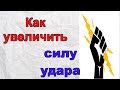 Как увеличить силу удара   Простой и эффективный комплекс упражнений