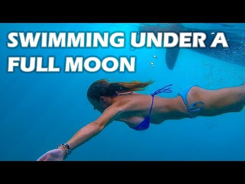 Swimming Under a Full Moon - S3:E15