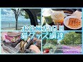 お盆の実家帰省1日目!猫8匹のための猫グッズを調達してきました!