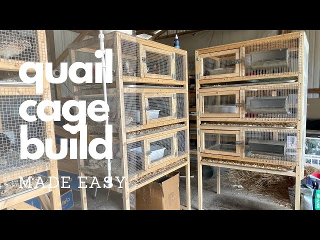 QUAIL CAGE BUILD Made Easy. Step by step instructions. class=