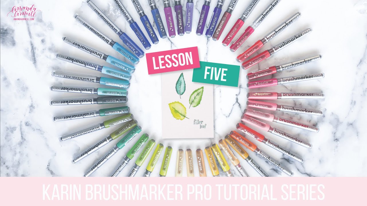 karin BRUSHMARKERS — Pickle Papers