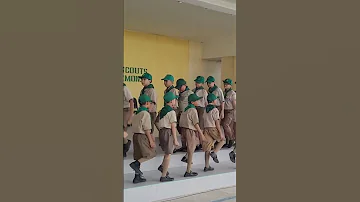 Boys Scout Investitureceremony Amazing Shorts 