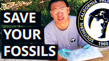 Preparing Your Fossils: Episode 1 of 4 | Using Acryloid/Paraloid B72!