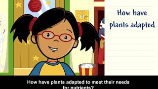 plant adaptations