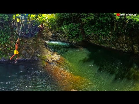 St. Vincent Rivers This is the deepest river in St.Vincent #travel - YouTube