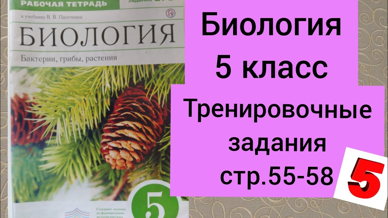 ГДЗ. Биология.5 класс. В.В.Пасечник. Рабочая тетрадь. Тренировочные ...