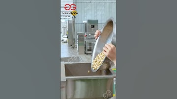 Roasting Machine Drum Type