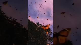 Jaavedaan Hai Slowed Reverb 1920 Evilreturns, Subscribe For More